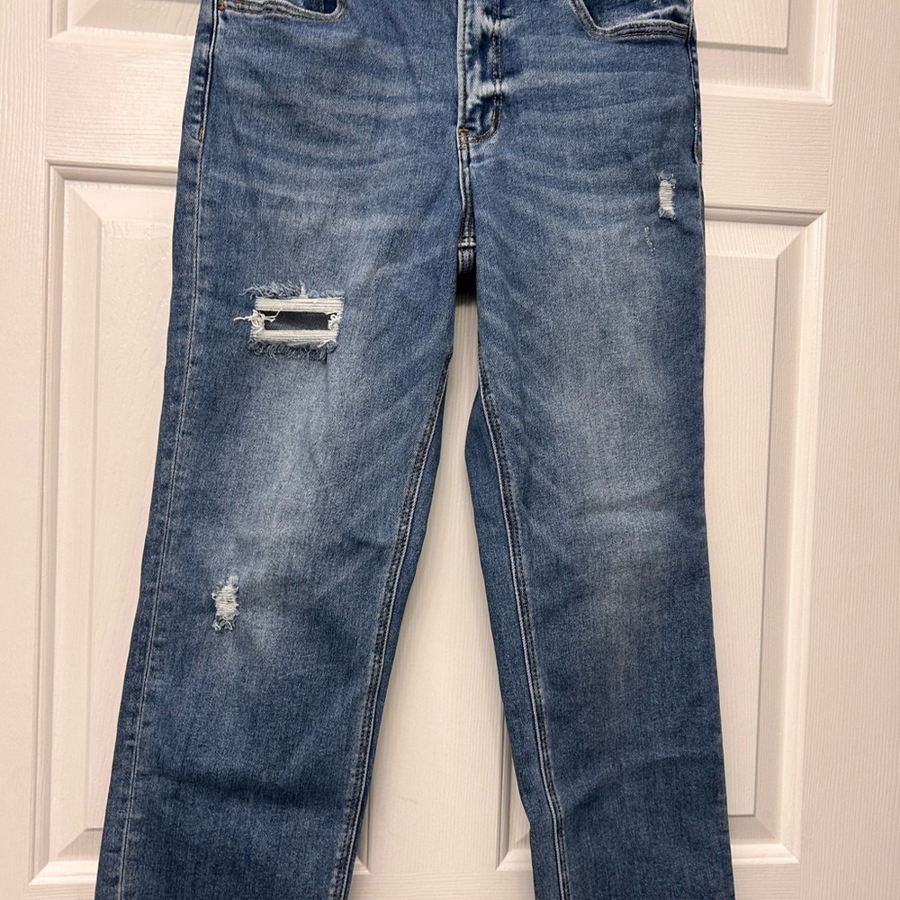 Lovervet by Vervet Blue Distressed Jeans